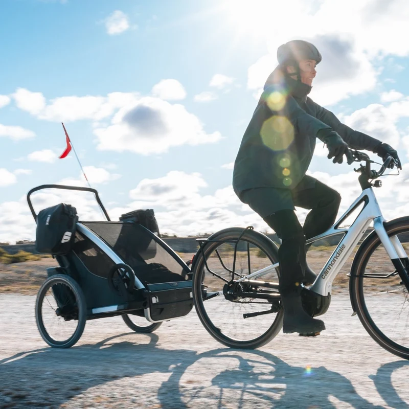 Porte-sacoche pour remorque Thule Chariot 2 (La paire)