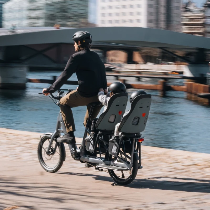 Porte bébé vélo arrière Thule Yepp Nexxt 2 Maxi compatible longtail