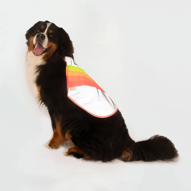 Gilet réfléchissant pour chien GoFluo