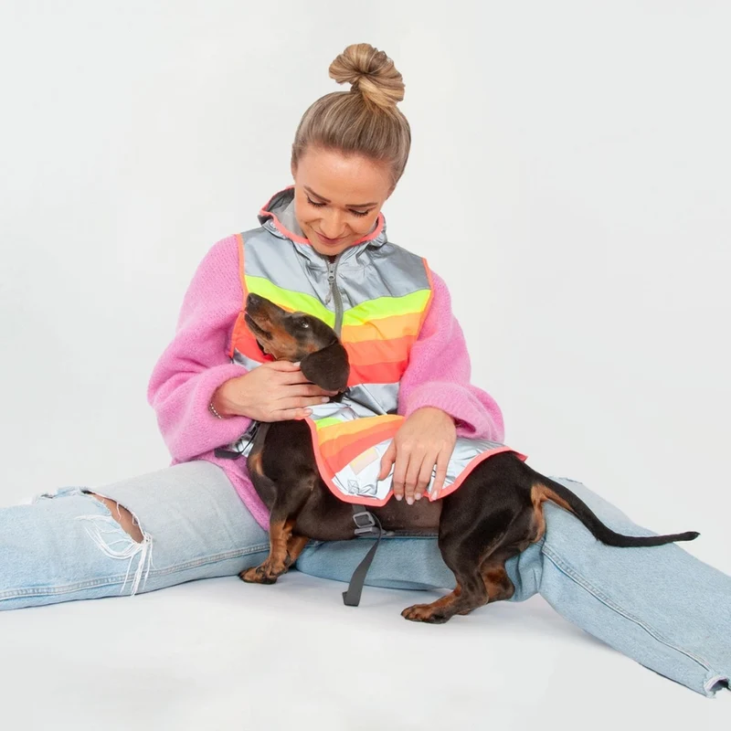 Gilet réfléchissant pour chien GoFluo