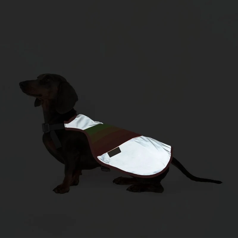 Gilet réfléchissant pour chien GoFluo