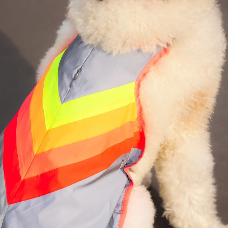 Gilet réfléchissant pour chien GoFluo