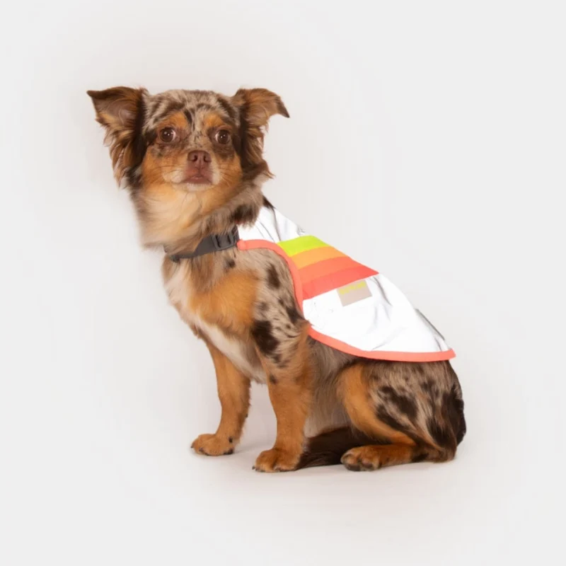 Gilet réfléchissant pour chien GoFluo