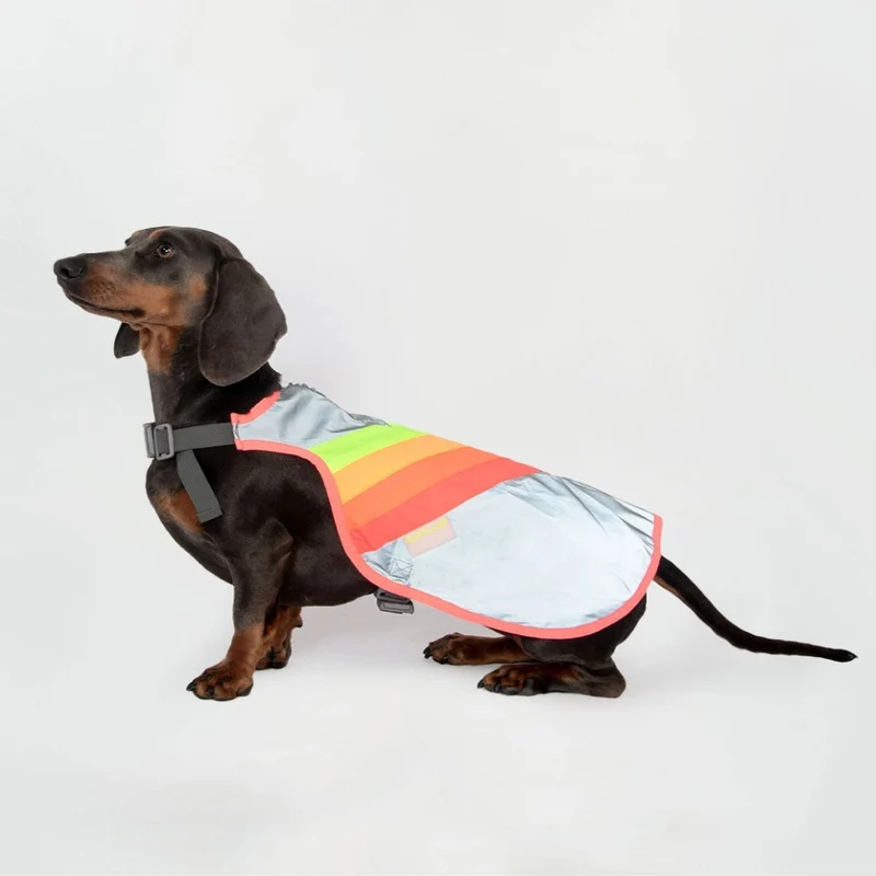 Gilet réfléchissant pour chien GoFluo