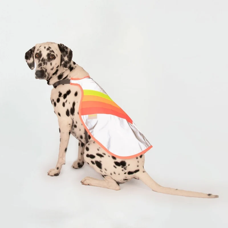Gilet réfléchissant pour chien GoFluo