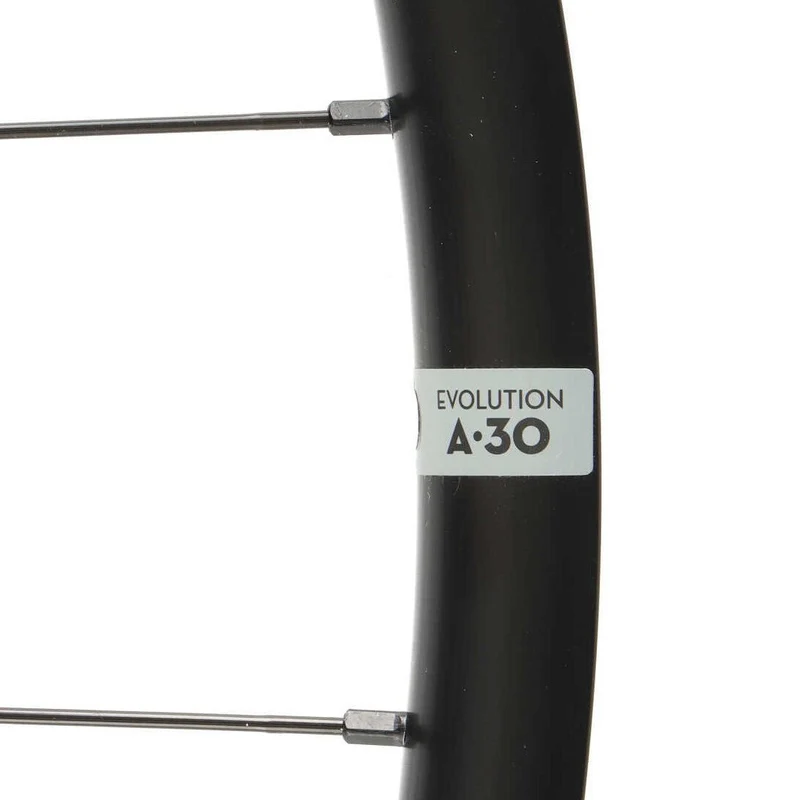 Newmen Evolution A.30 Vorderrad 29" | Boost 15x110 mm | 6-Loch Disc | Aluminium (B-Ware)