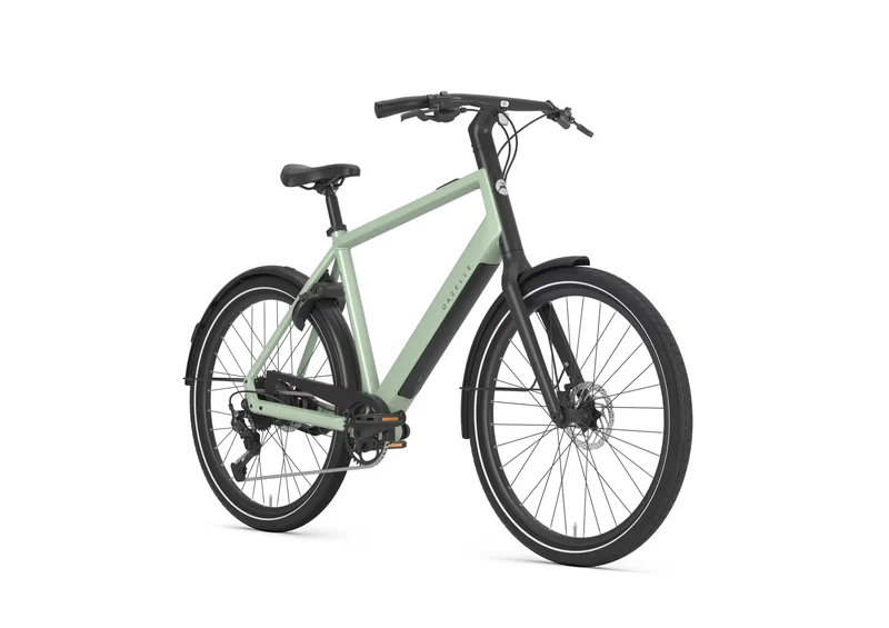 Gazelle Curb T9 360 pistache green 2027