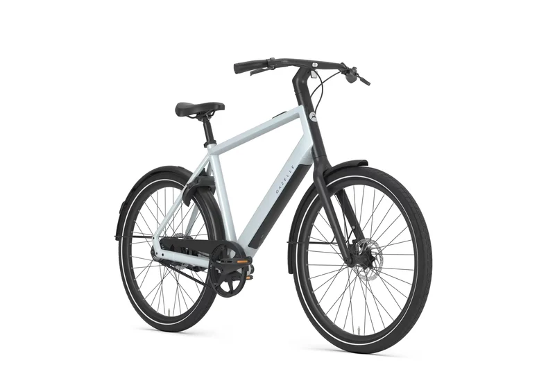 Gazelle Curb C1 360 platinum white 2027
