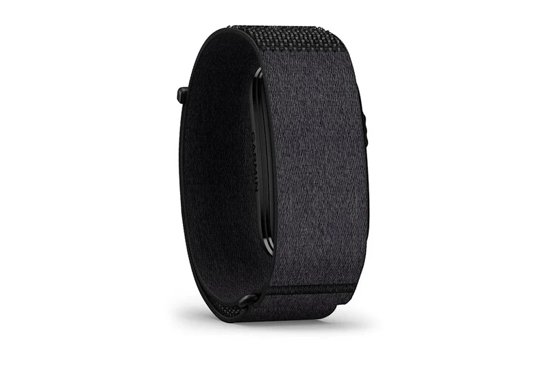 Garmin Cirqa Smart Band