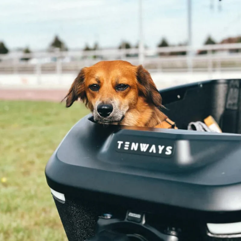 Tenways Cargo One