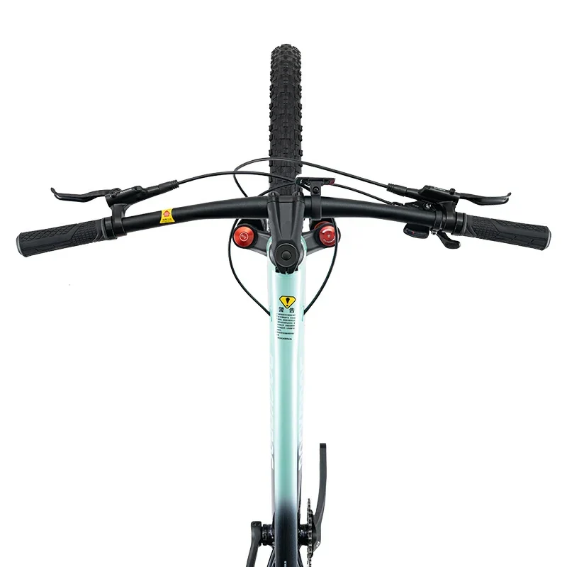 MT600 29 Zoll MTB