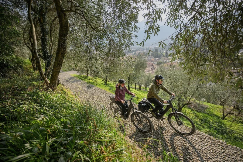 Cube Kathmandu Hybrid One11 HPC SLT 800 Wh E-Bike Easy Entry 28" carbon´n´silverdust