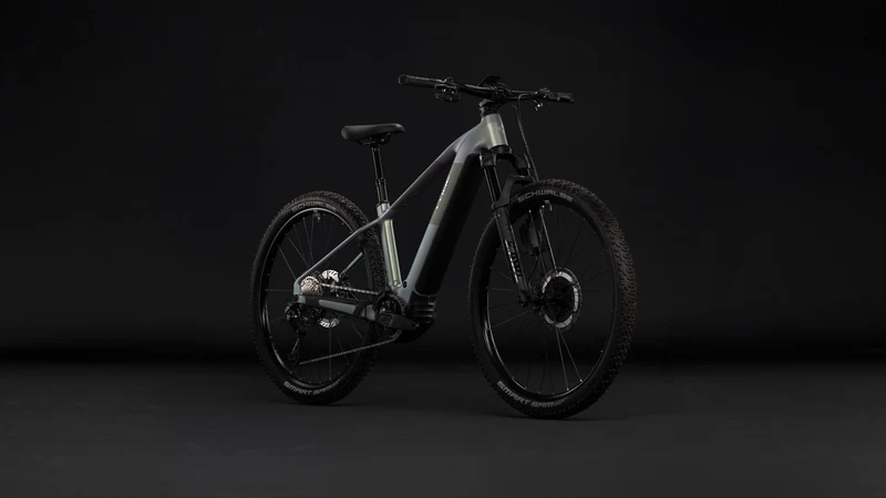 Cube Reaction Hybrid SLT 800 Wh E-Bike Hardtail Diamant kolibri´n´crisscross