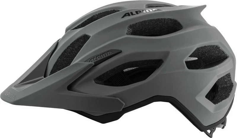 Alpina CARAPAX 2.0 coffee-grey matt