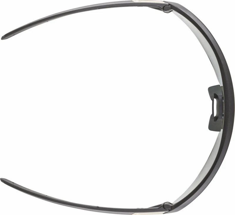 Alpina Turbo Pro QV Sportbrille black matt/mirror rainbow one size