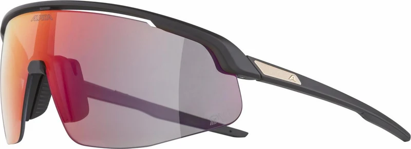 Alpina Turbo Pro QV Sportbrille black matt/mirror rainbow one size