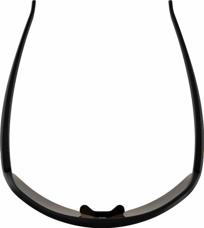 Alpina Turbo HR Sportbrille black matt/mirror gold one size
