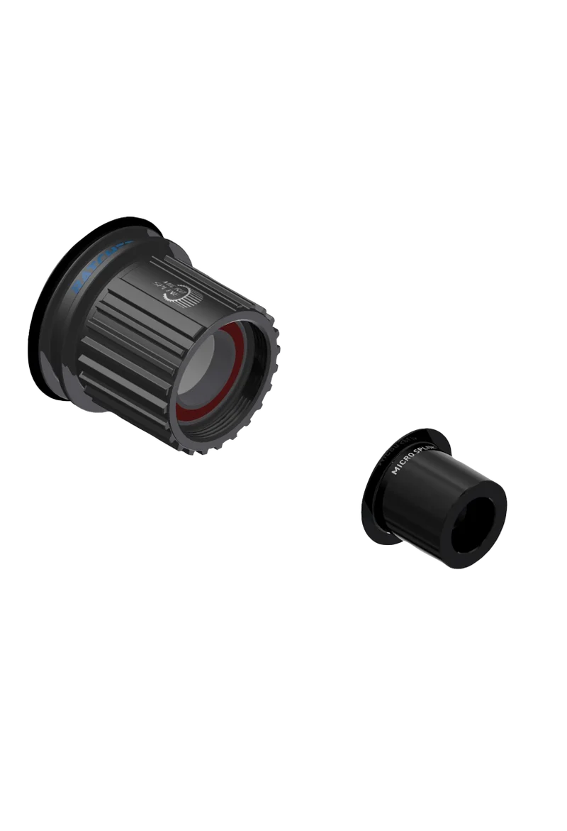 DT Swiss Ratchet LN Stahl-Freilaufkörper und Endkappe | Shimano Micro Spline | 12-fach (B-Ware)