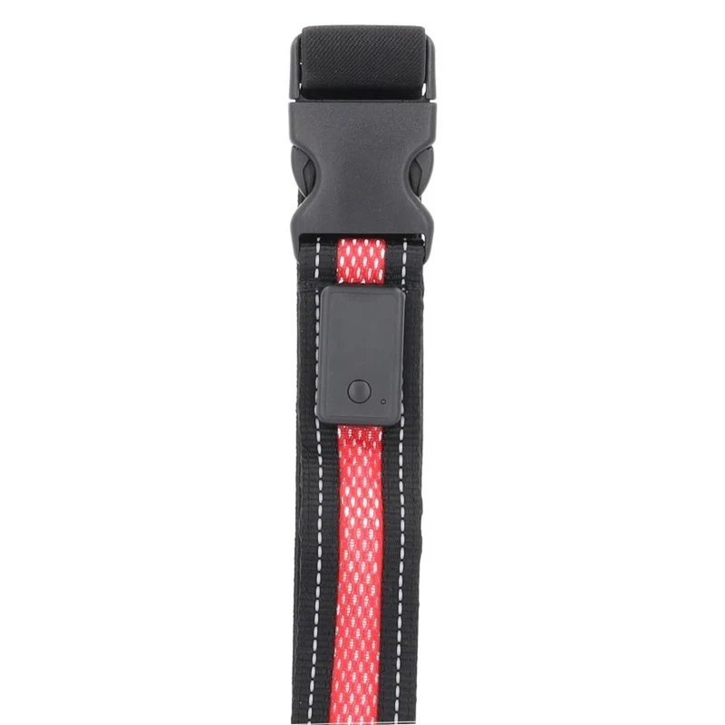 Ceinture LED sécurité rechargeable USB Coolride