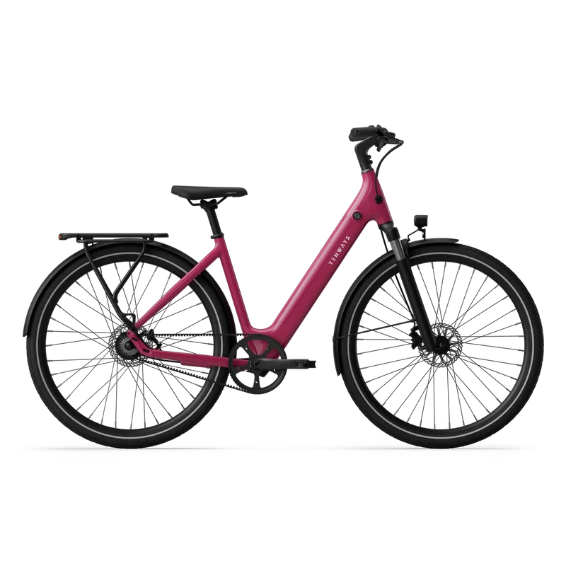 Tenways CGO800 S 2026er Modell (460WH Akku)