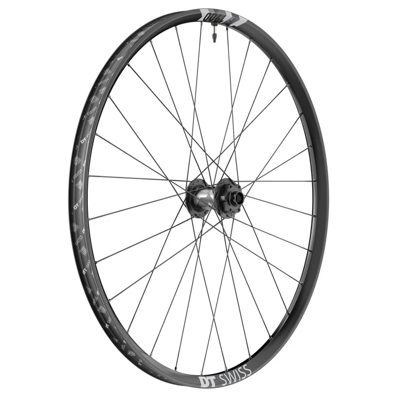 DT Swiss F 1900 Classic Vorderrad 29" | 30 mm Felgenbreite | 20x110 mm Boost | 6-Loch Disc | Downhill