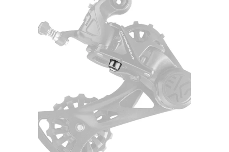 Campagnolo Clamping Bolt and Washer RD-EK102