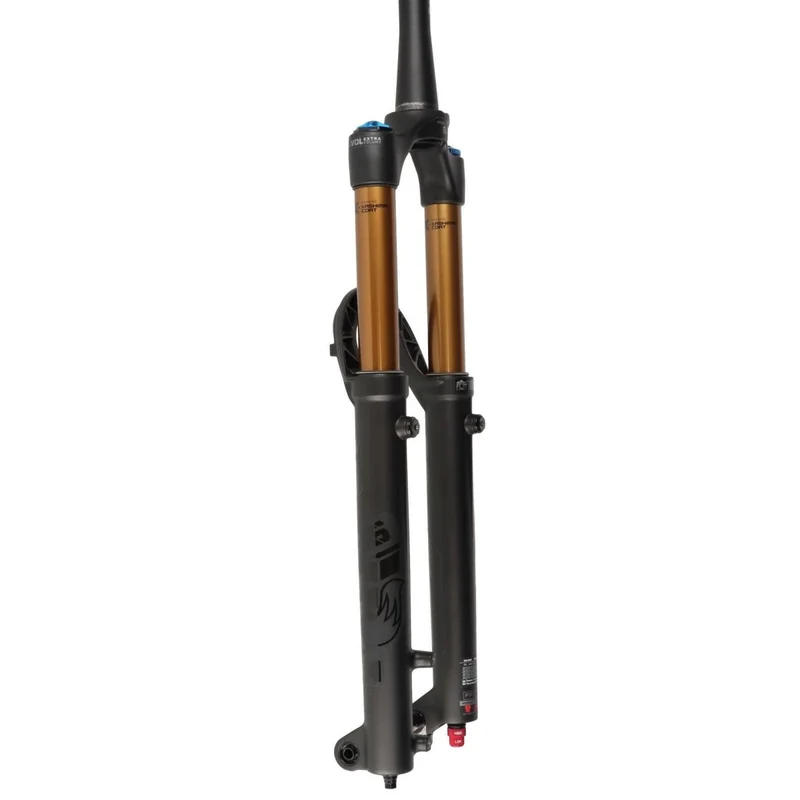 FOX 36 Float Factory Federgabel 29" | 150 mm Federweg | GRIP2 | Modell 2024 | Boost 15x110 mm | Tapered | Kashima