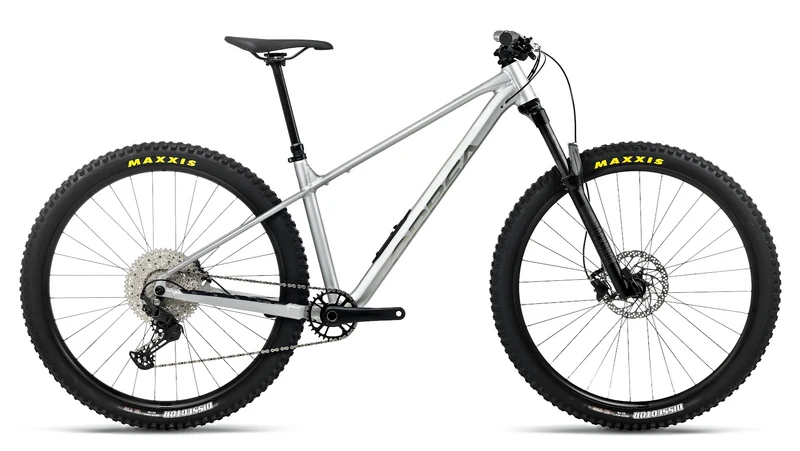 Orbea Laufey H30 2027 Smooth Silver Matt/Titanium Gloss