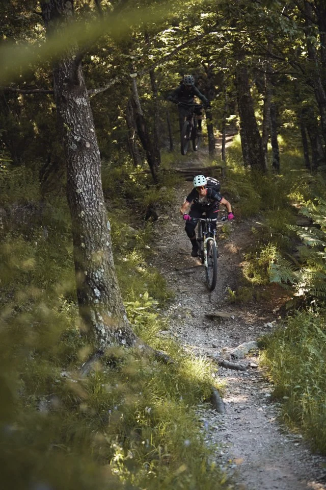 Abus Modrop Mips MTB-Helm Kiefergrün