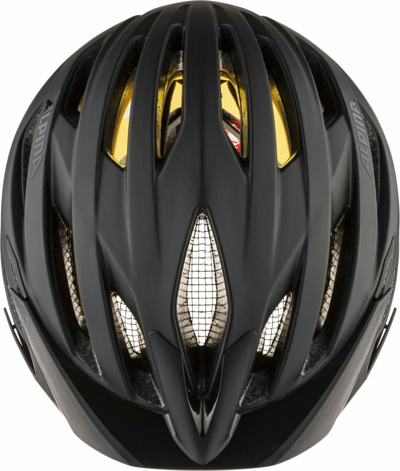 Alpina DELFT MIPS Helm black matt