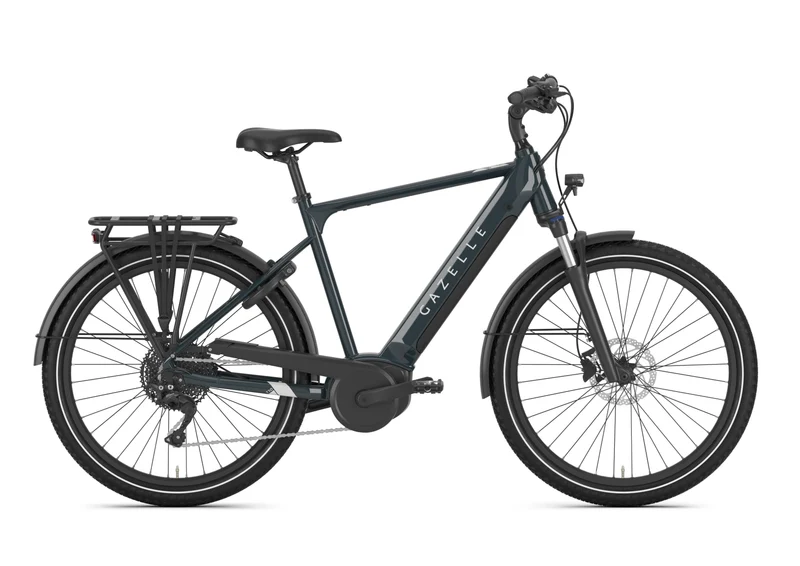 Gazelle Medeo T10 625 Wh pine green glänzend