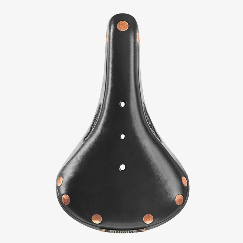 Selle vélo cuir Brooks B17 special titanium