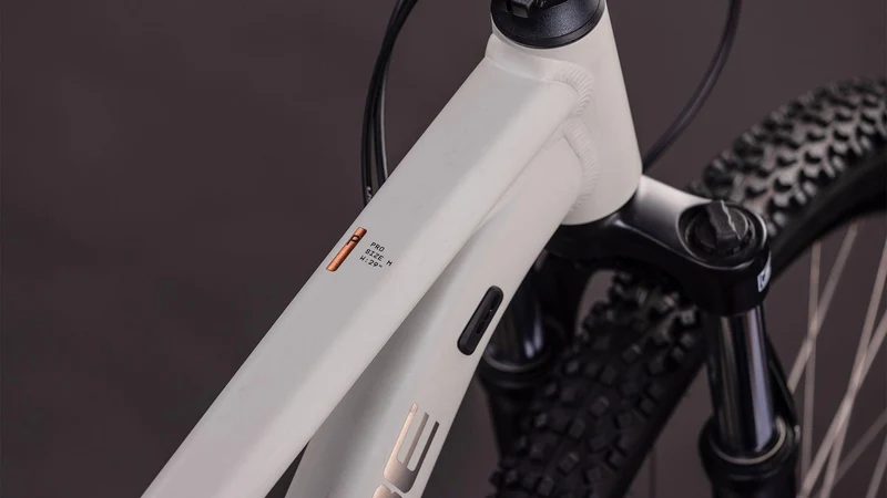 CUBE Aim Pro greige´n´titan