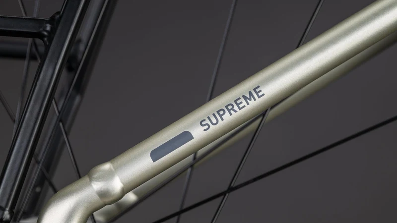 CUBE Supreme RT Hybrid Comfort EXC 600 champagne´n´grey