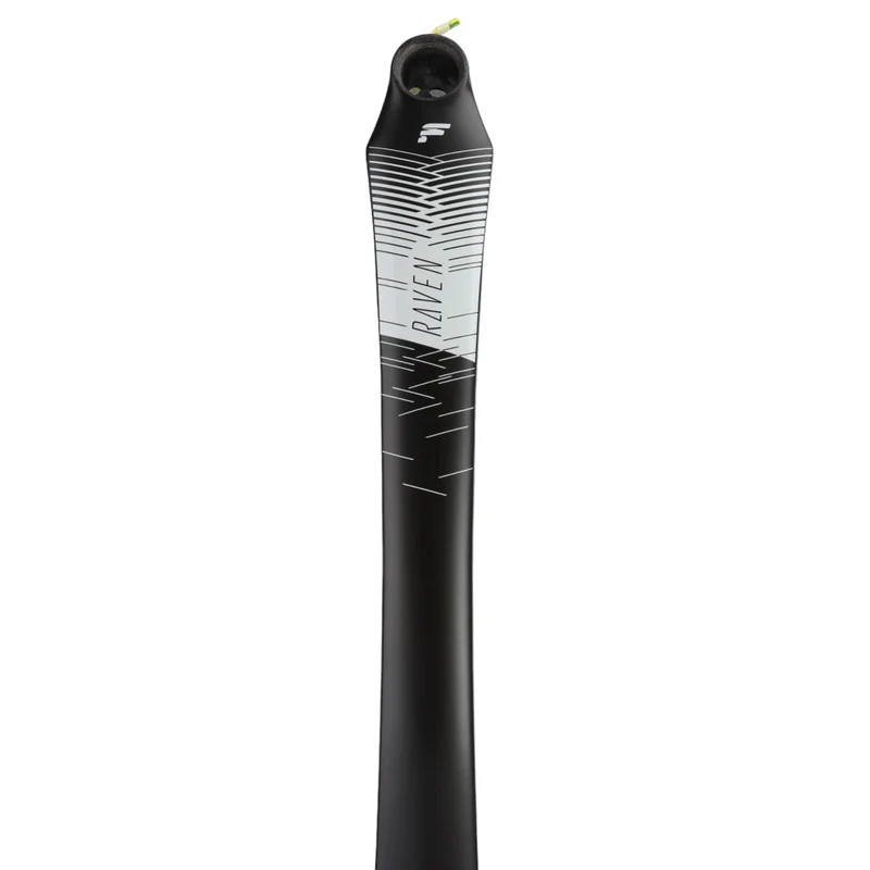 Focus Raven 8.6 Disc Rahmen MTB Hardtail Carbon schwarz (46 cm/M)