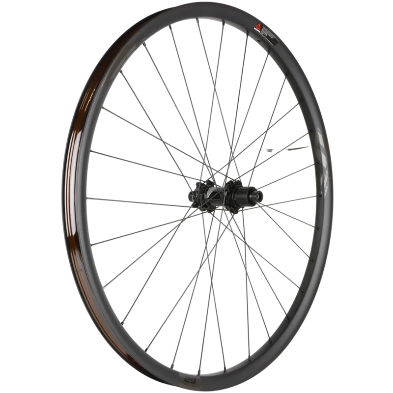 Lapierre AM Carbon Hinterrad 29 Zoll Boost 12x148mm Microspline 6-Loch 30 mm