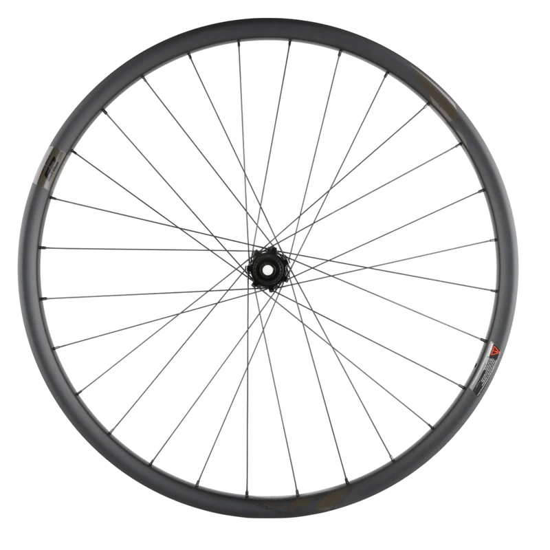 Lapierre AM Carbon Hinterrad 29 Zoll Boost 12x148mm Microspline 6-Loch 30 mm