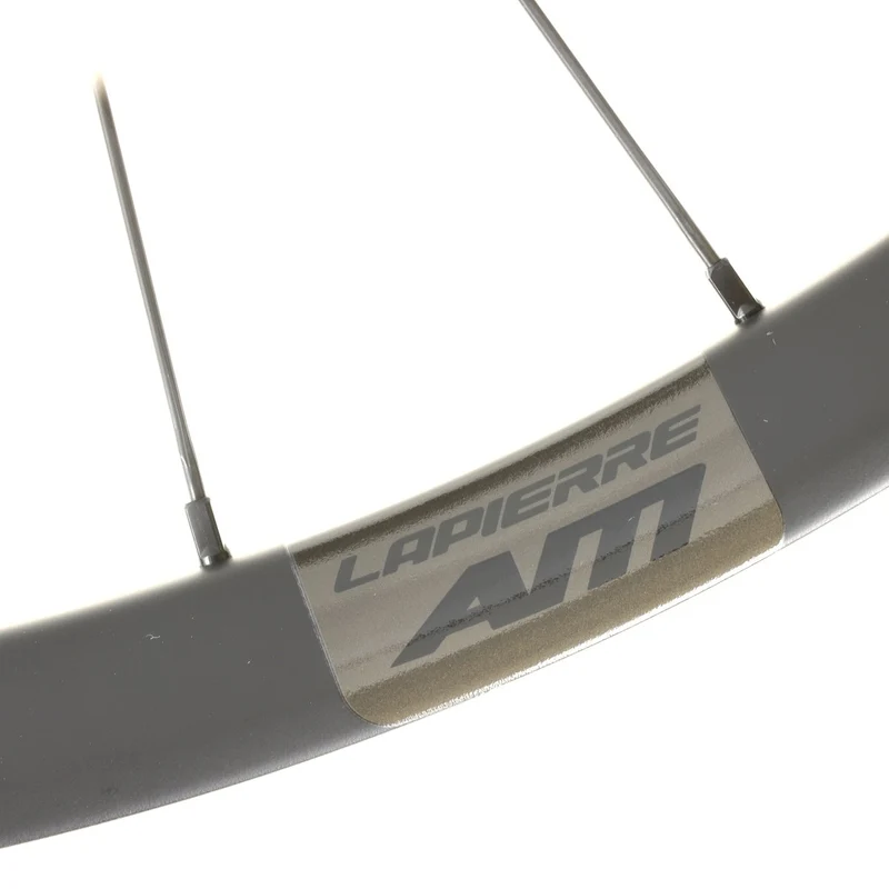 Lapierre AM Carbon Hinterrad 29 Zoll Boost 12x148mm Microspline 6-Loch 30 mm