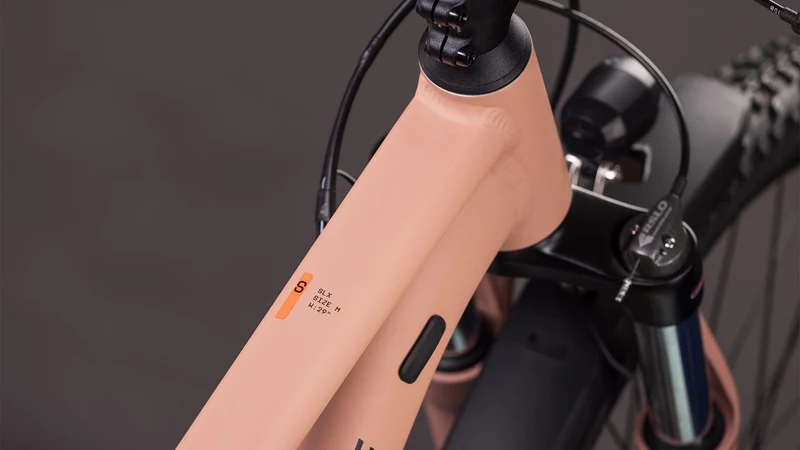 CUBE Aim SLX FE blushrose´n´black