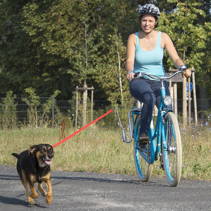 Laisse vélo chien M-WAVE Messingschlager