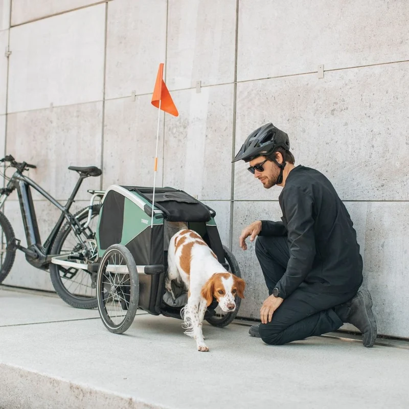 Remorque Vélo pour chien Thule Bexey M