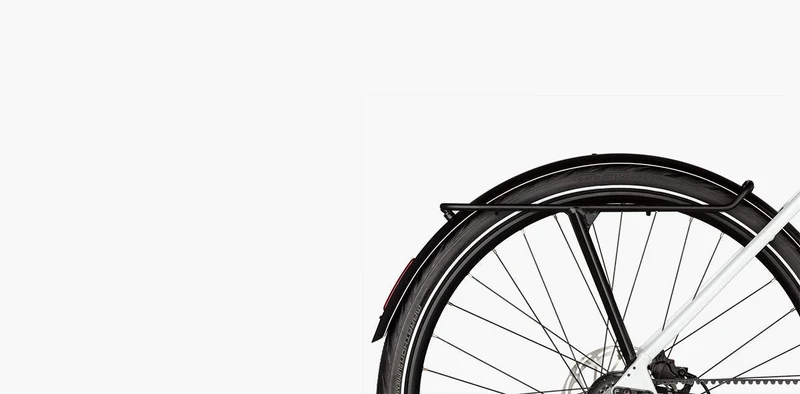 Riese & Müller UBN Six vario 430Wh Contol Hub night