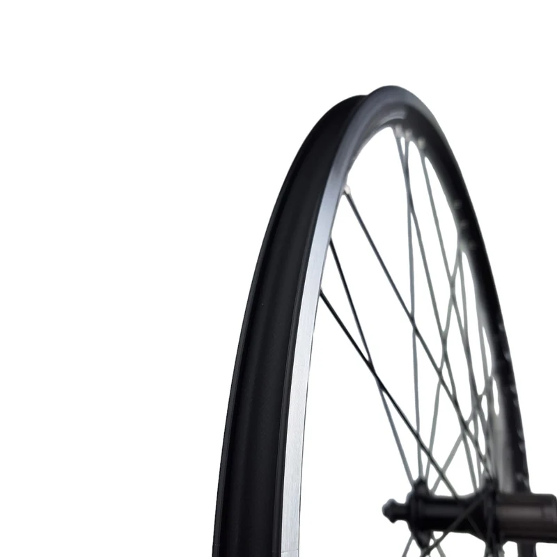 Campagnolo Calima C17 Felgenbremsen 28 Zoll Laufradsatz Rennrad Shimano HG