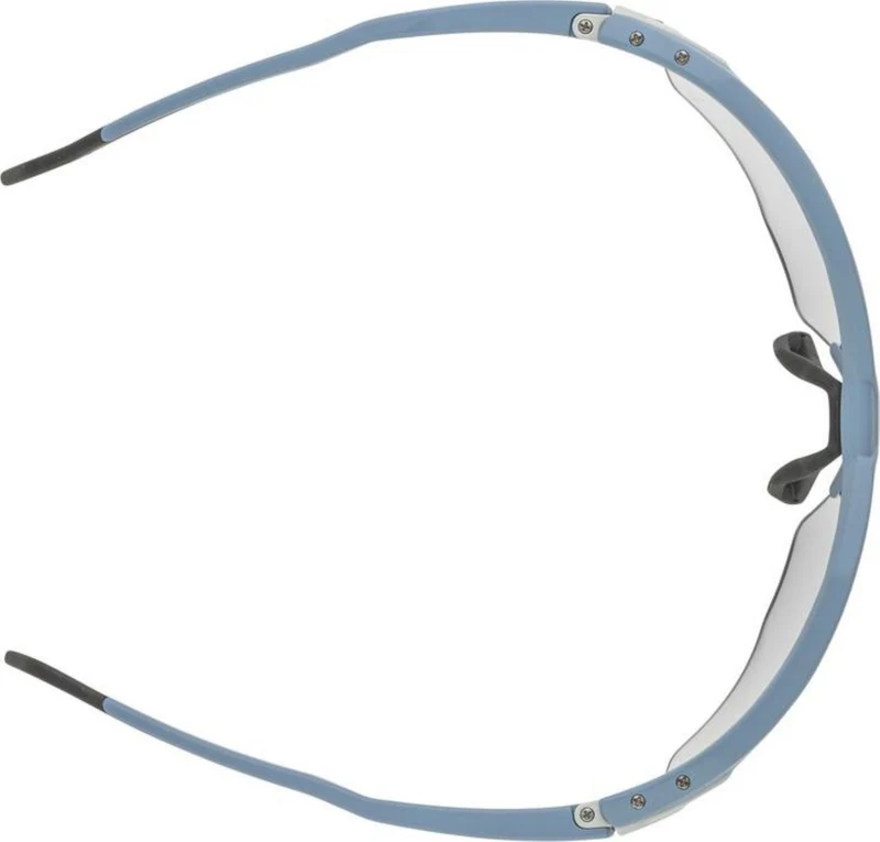 Alpina Twist Six HR V Sportbrille smoke matt one size