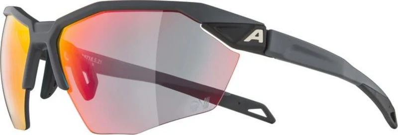 Alpina Twist Six HR QV Sportbrille grey matt/quattro/variofl.mirror+ rainb. one size