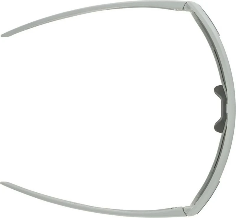 Alpina Bonfire Q-Lite Sportbrille smoke-grey matt/mirror green one size