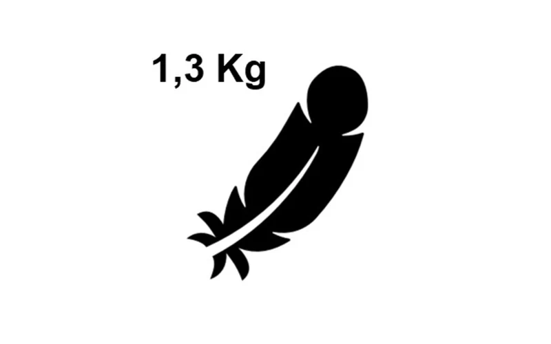 PicOli – Steckbarer Grill-Aufsatz für Gaskocher