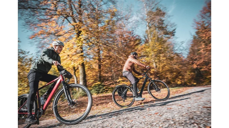 Coboc Iseo 360 Wh E-Bike Diamant rooftop red, gloss