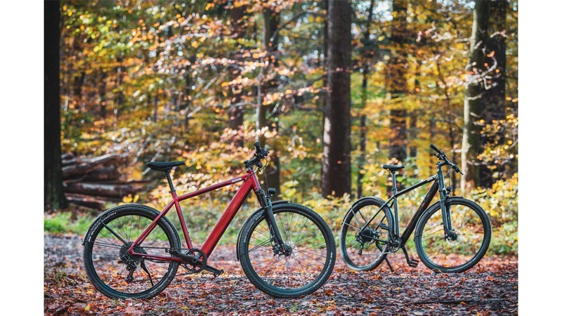 Coboc Iseo 360 Wh E-Bike Diamant salmiak black, gloss
