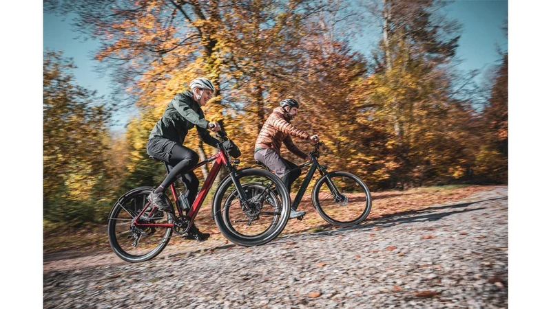 Coboc Iseo 360 Wh E-Bike Diamant salmiak black, gloss
